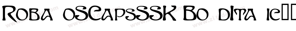 RobaloSCapsSSK BoldItalic字体转换